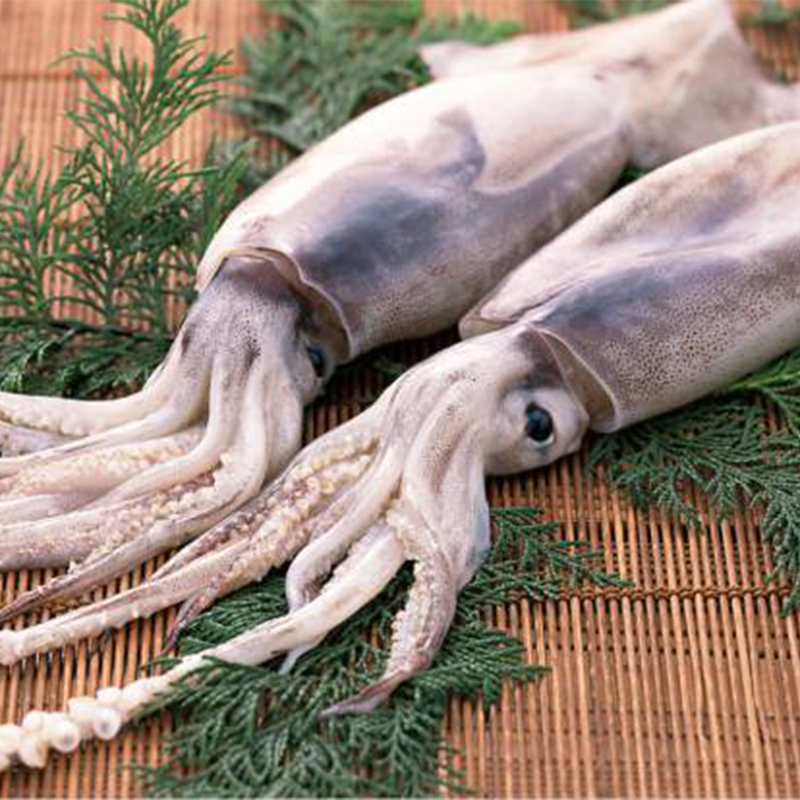 秘魯鱿魚
