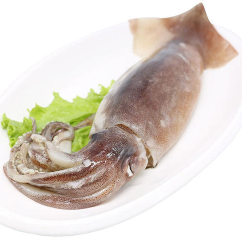 阿根廷鱿魚
