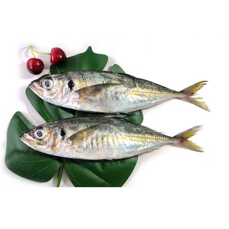 凍黃(huáng)占